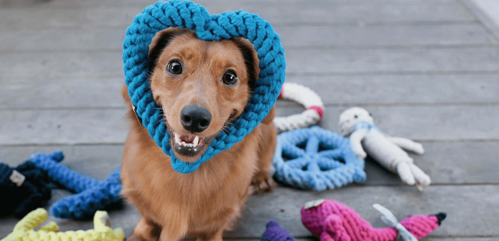 All-Natural Dog Toys