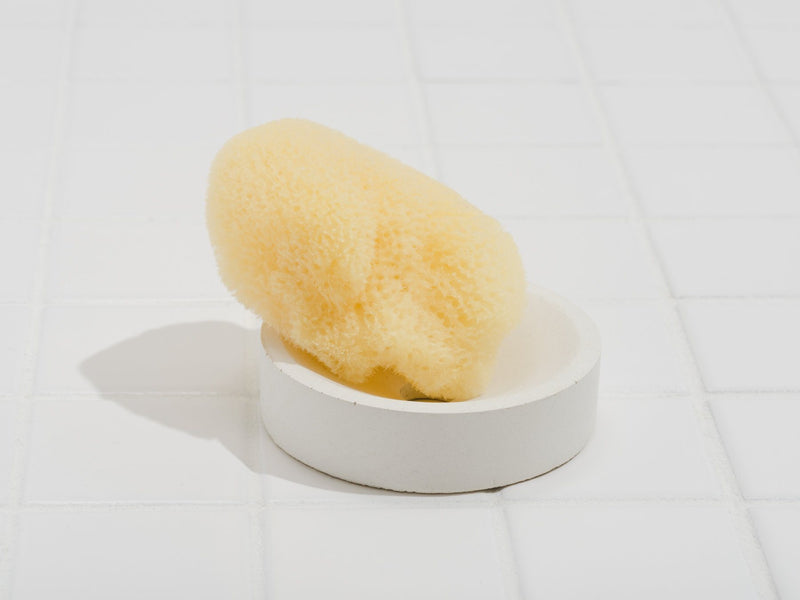 Fruitsuper, Concrete Soap + Sponge Stands, - Placewares