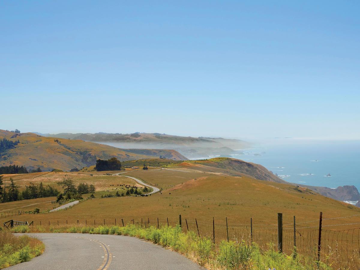 We Agree. The Sonoma Coast Is Indeed "Pure, Underrated Paradise"