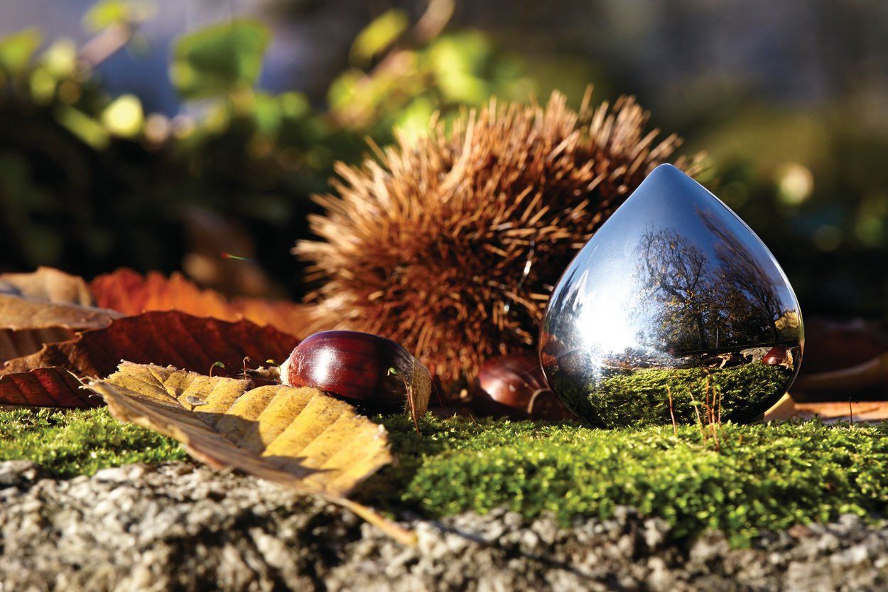 Alessi, Chestnut Pill Box, - Placewares