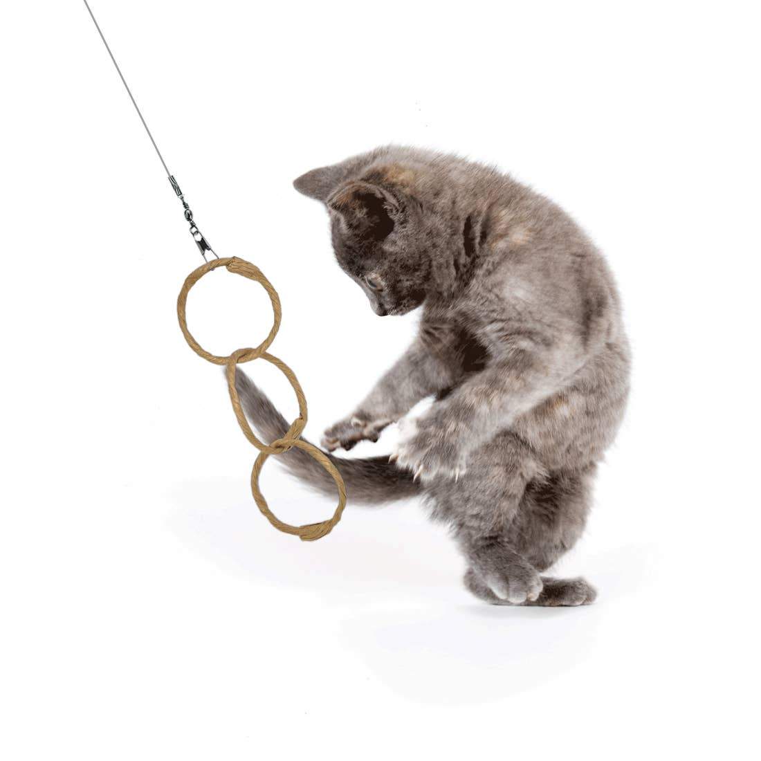 Dezi & Roo, Oh! Rings Toy for Cats, - Placewares