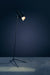 Nemo, Claritas, - Placewares