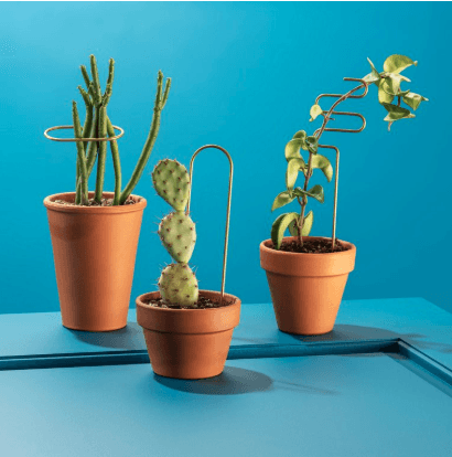 Fruitsuper, Brass Plant Sticks, - Placewares