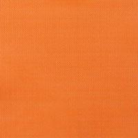 Walker, Single Zipper Mesh Bag - 6 x 10 in, 6 X 10 / Orange- Placewares