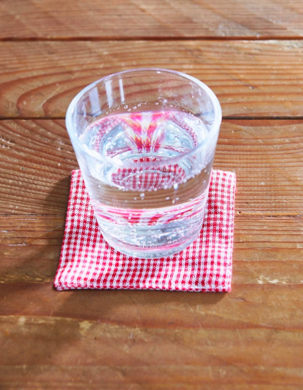 Fog Linen, Linen Coasters, red & white check, - Placewares