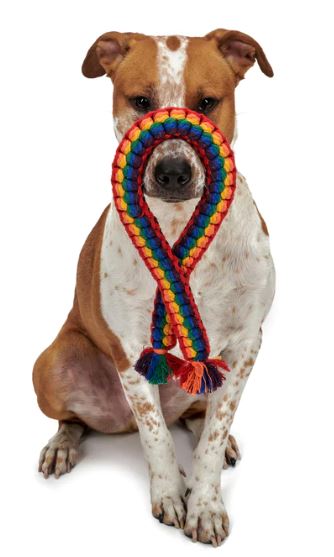 Jax & Bones, Rainbow Rope Dog Toy, - Placewares