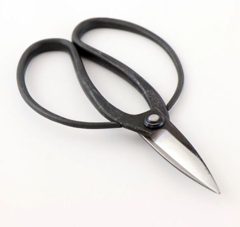 Toyama Hamono, Okubo Flower & Garden Scissors, - Placewares