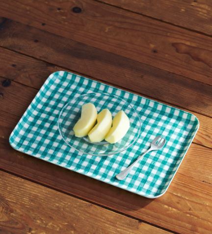Fog Linen, Japanese Linen Coated Tray, green & white check - assorted sizes, Medium- Placewares