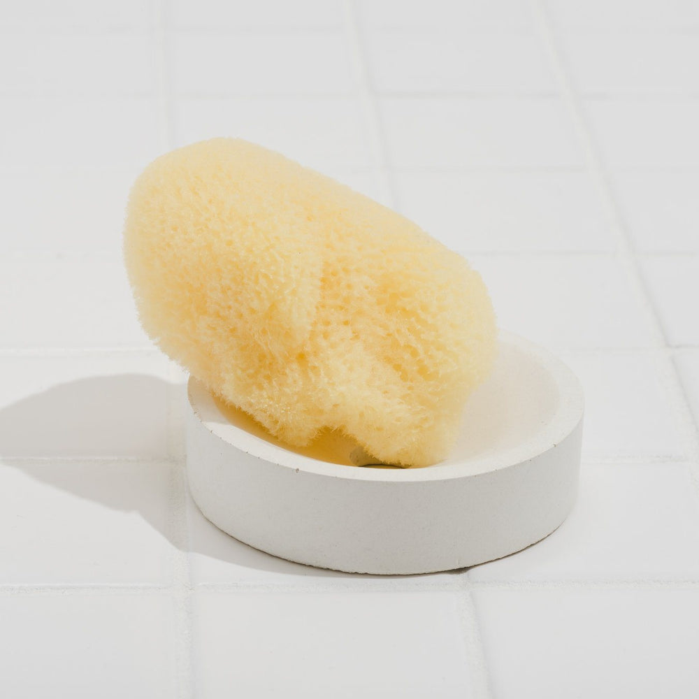 Fruitsuper, Concrete Soap + Sponge Stands, Circle / White- Placewares