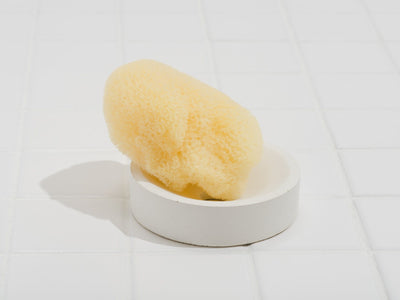 Fruitsuper, Concrete Soap + Sponge Stands, Circle / White- Placewares