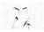 Nemo, Claritas, - Placewares