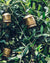 Fog Linen, Indian Brass Bells, - Placewares