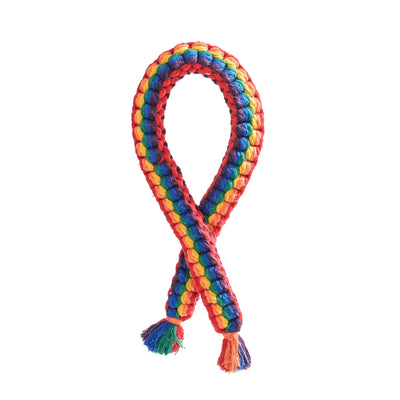 Jax & Bones, Rainbow Rope Dog Toy, - Placewares